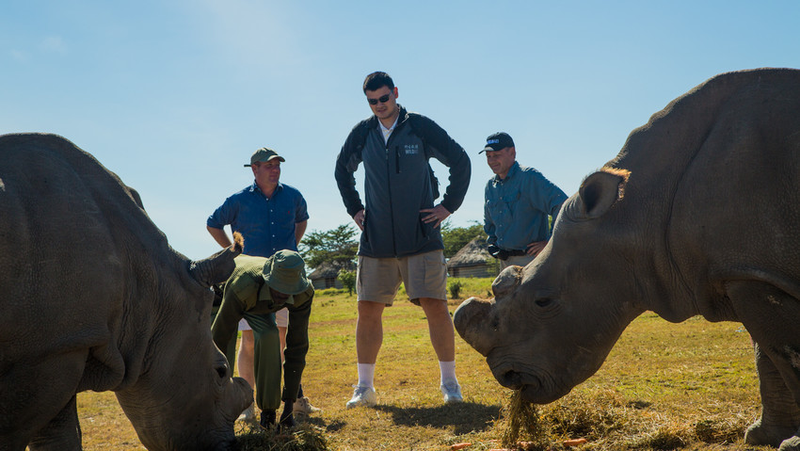 Lord of the rhinos.